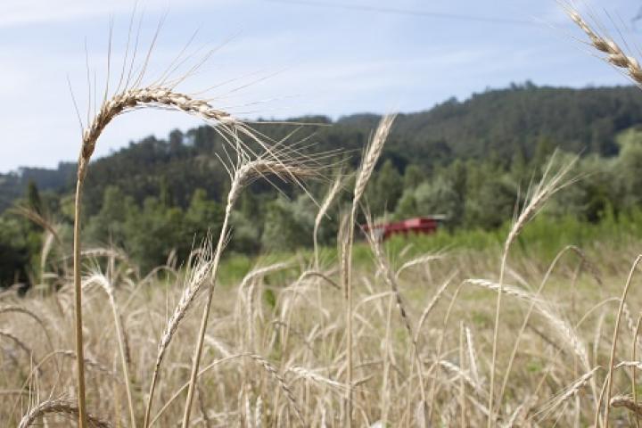 El Principado de Asturias es una de las comunidades autónomas que mejor ha ejecutado el Plan de Desarrollo Rural 2007-2013