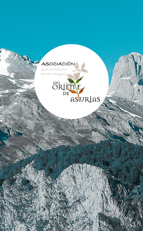 Oriente de Asturias