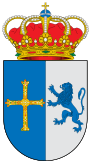 Cangas del Narcea