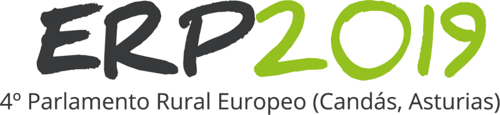 Logo ERP 2019