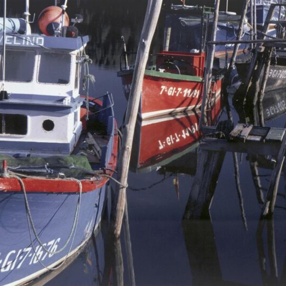 Ayudas productos pesca