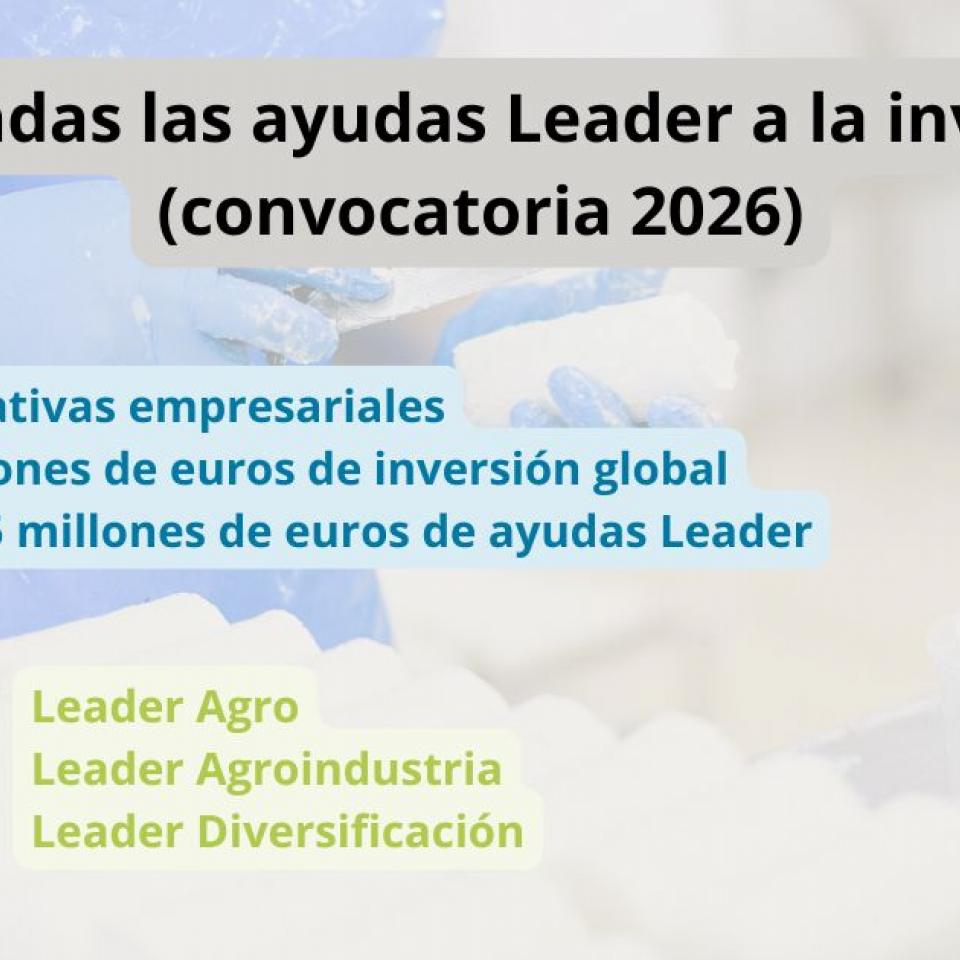 Resolución inversión 2026