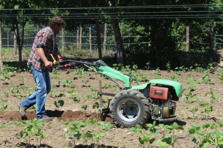 El campo asturiano recupera en un año de pandemia los habitantes perdidos en una década