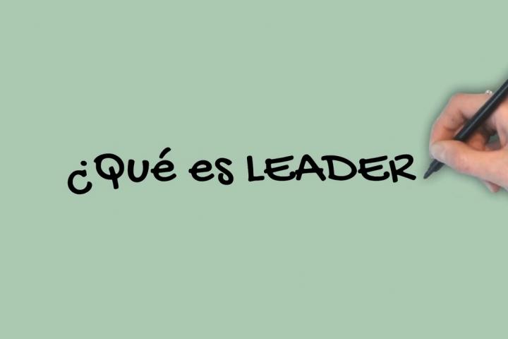 vídeo tutoriales LEADER