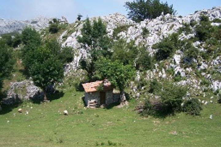 ¿Reciben los países con mayor biodiversidad en la Unión Europea más fondos y recursos destinados a su conservación?