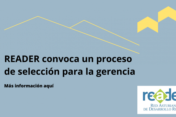 Anuncio proceso selección gerencia