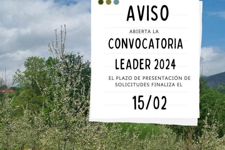 convocatoria leader 2024